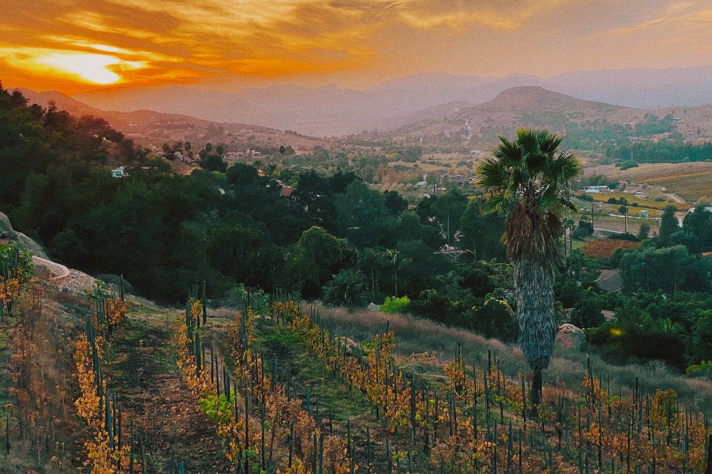 landscape view of escondido california